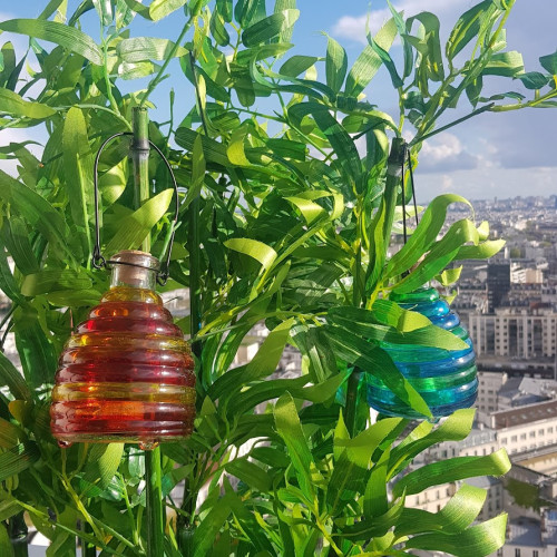 Pièges à guêpes en verre...