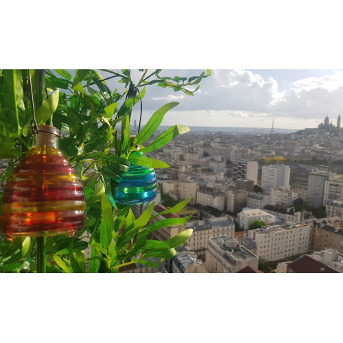 Pièges à guêpes en verre...