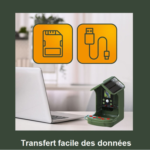 Mangeoire à oiseaux avec...