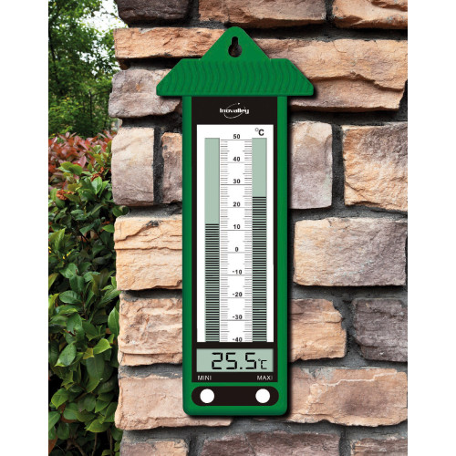 thermomètre mini maxi vert