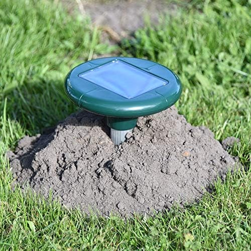 Lot de 3 chasse-taupes...