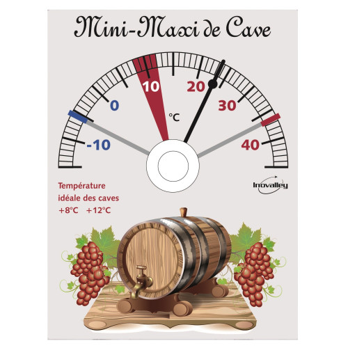 Thermomètre MINI-MAXI de...