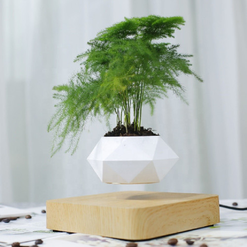 Mini-Jardin Deluxe-4