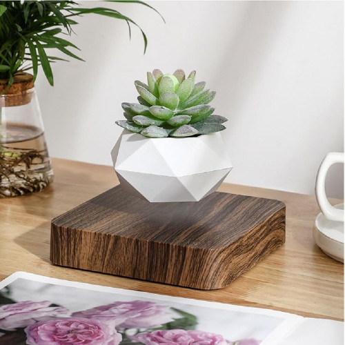 Mini-Jardin Deluxe